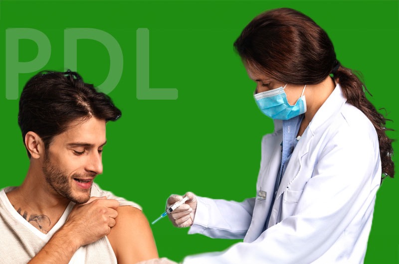 PDL – Wegweiser in die Zukunft